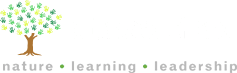 Christodora logo